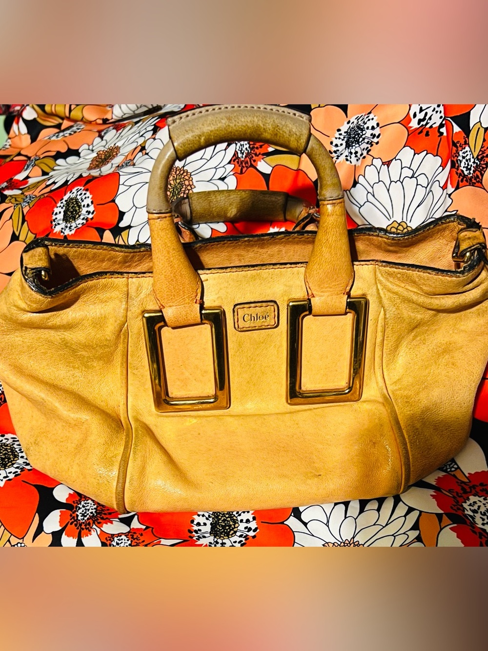 Chloe Mini Ethel Satchel updated